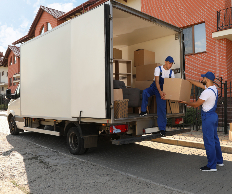 Design ohne Titel (26)